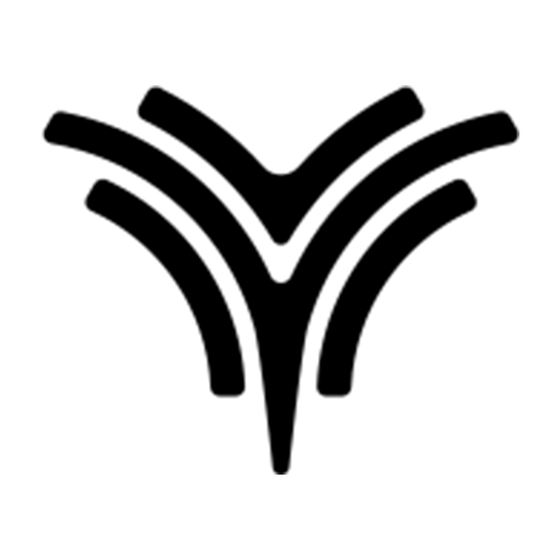 Dealer Neta